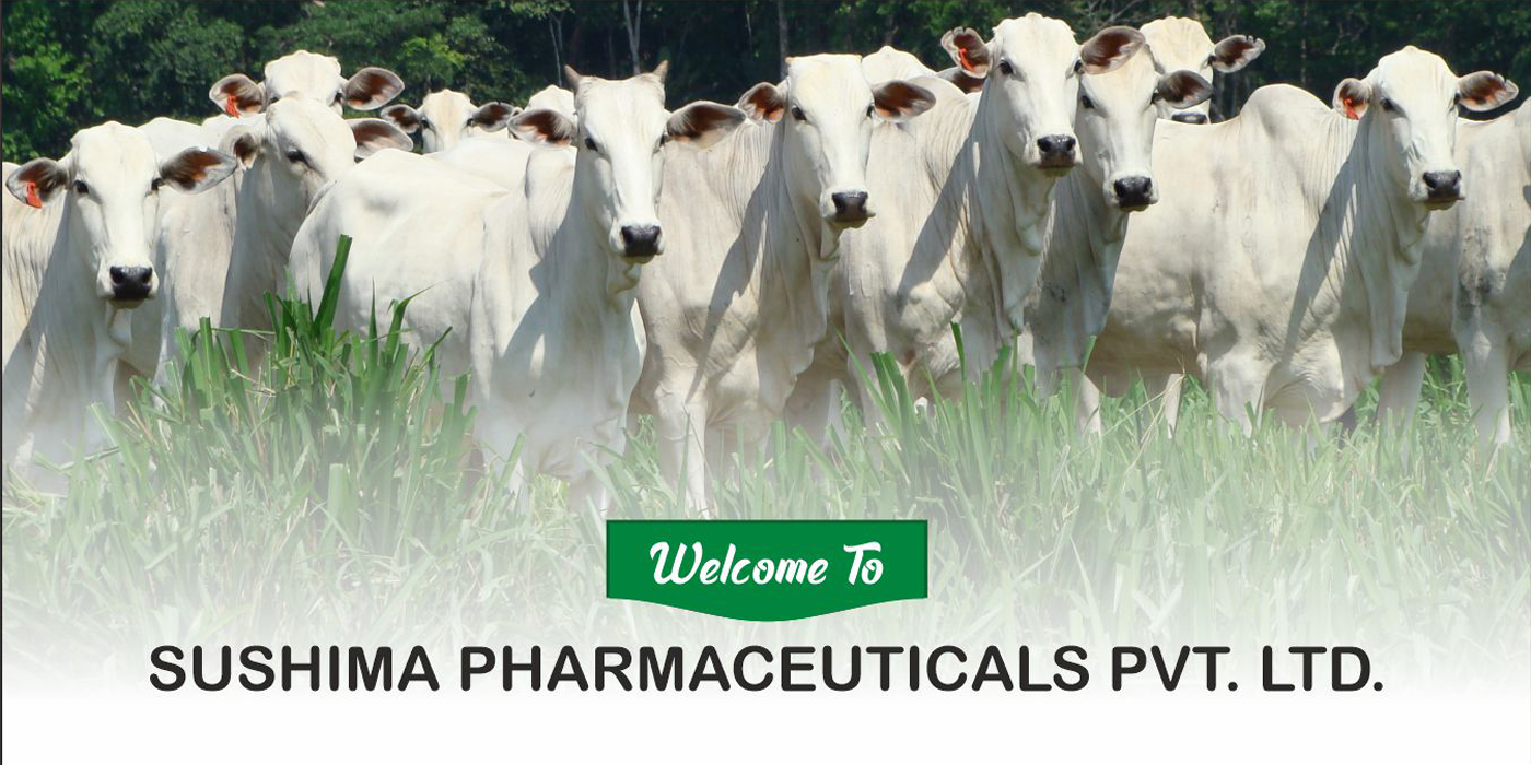 Animal Health Care Company in India