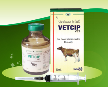 Veterinary Pharmaceutical Company in India